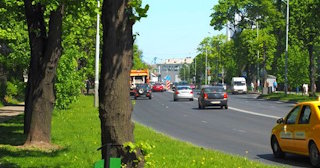 Посадка деревьев и кустарников в Дзержинском — стоимость от 1228 руб.